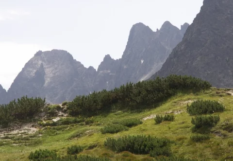 Tatry (fot. sxc.hu)