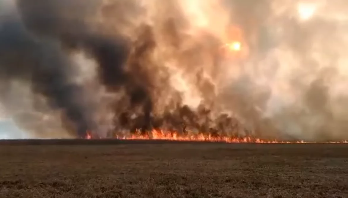 Pożar w Biebrzańskim Parku Narodowym