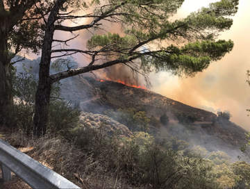 Pożar na wyspie Gran Canaria