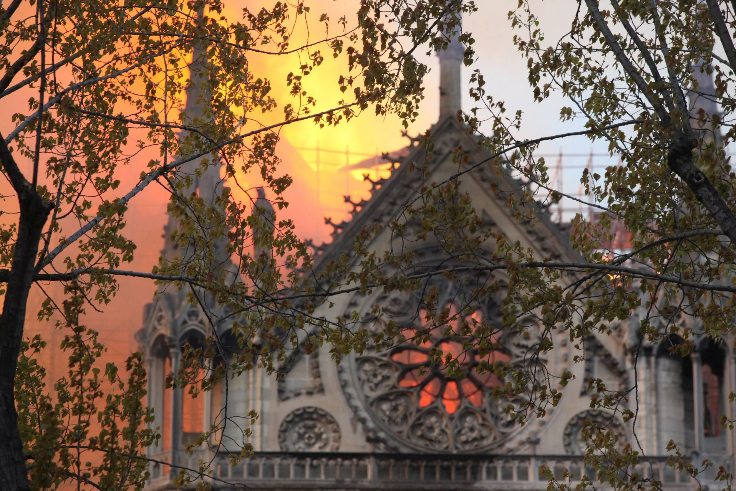 Pożar katedry Notre Dame