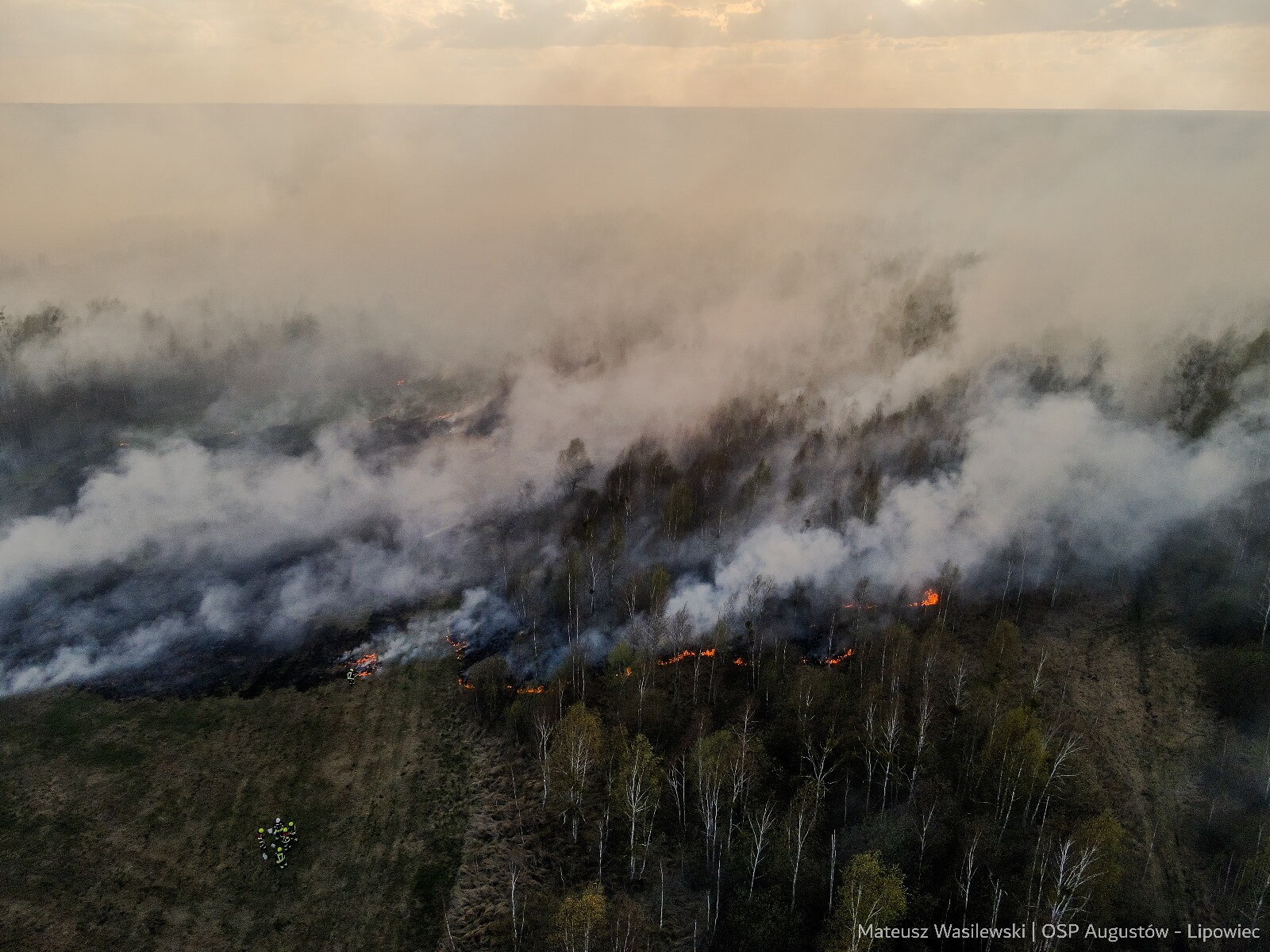 Pożar w parku narodowym. Donald Tusk w drodze