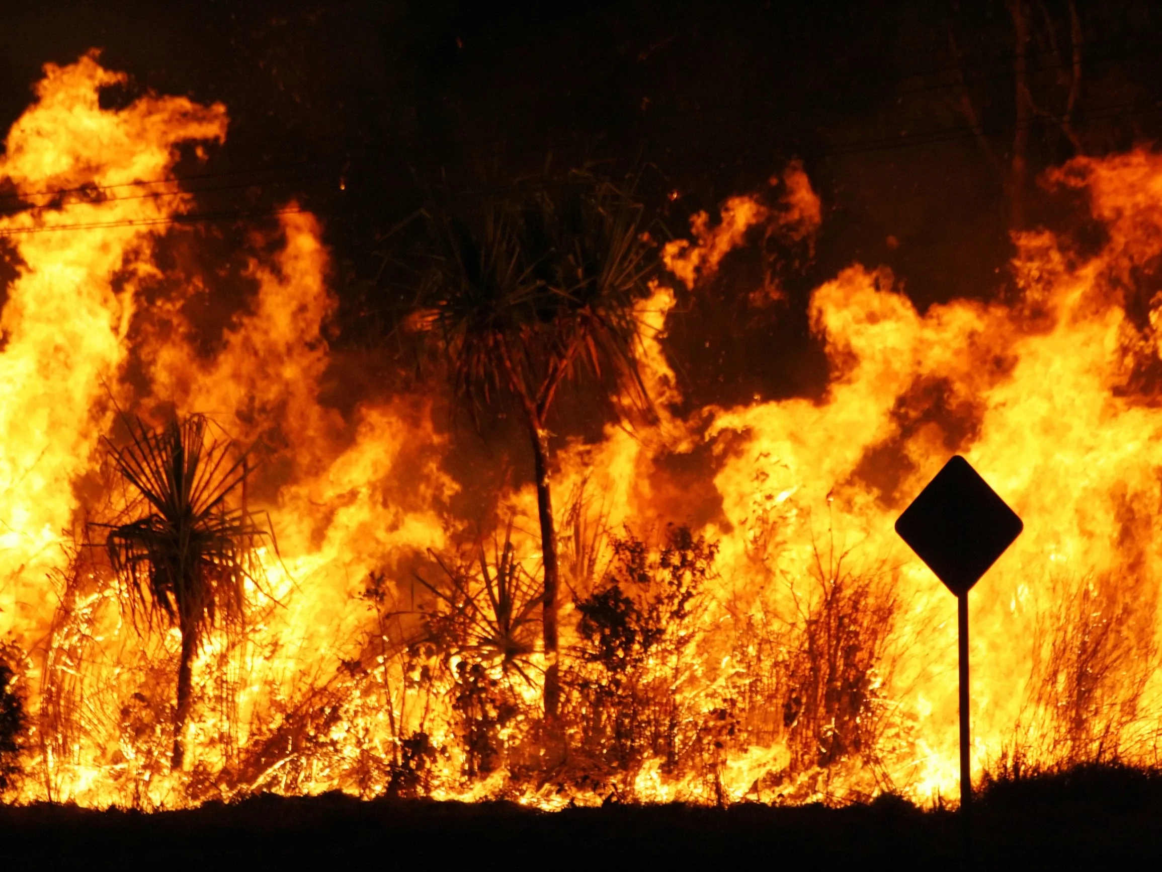 Nieoczekiwany skutek pożarów. Eksperci o „koktajlu czarownic”