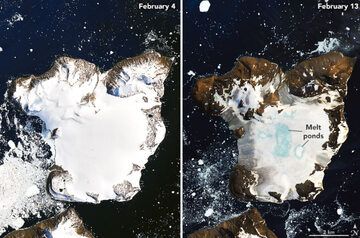Poziom pokrywy lodowej na Antarktydzie