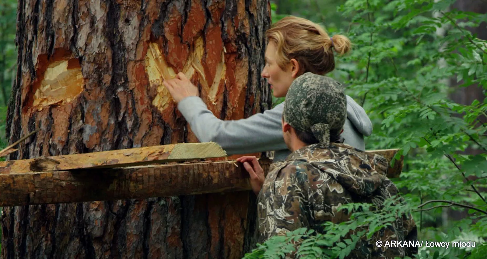Kadr z filmu „Łowcy miodu” (2015)