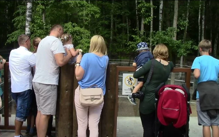 Zwiedzający ZOO w Poznaniu