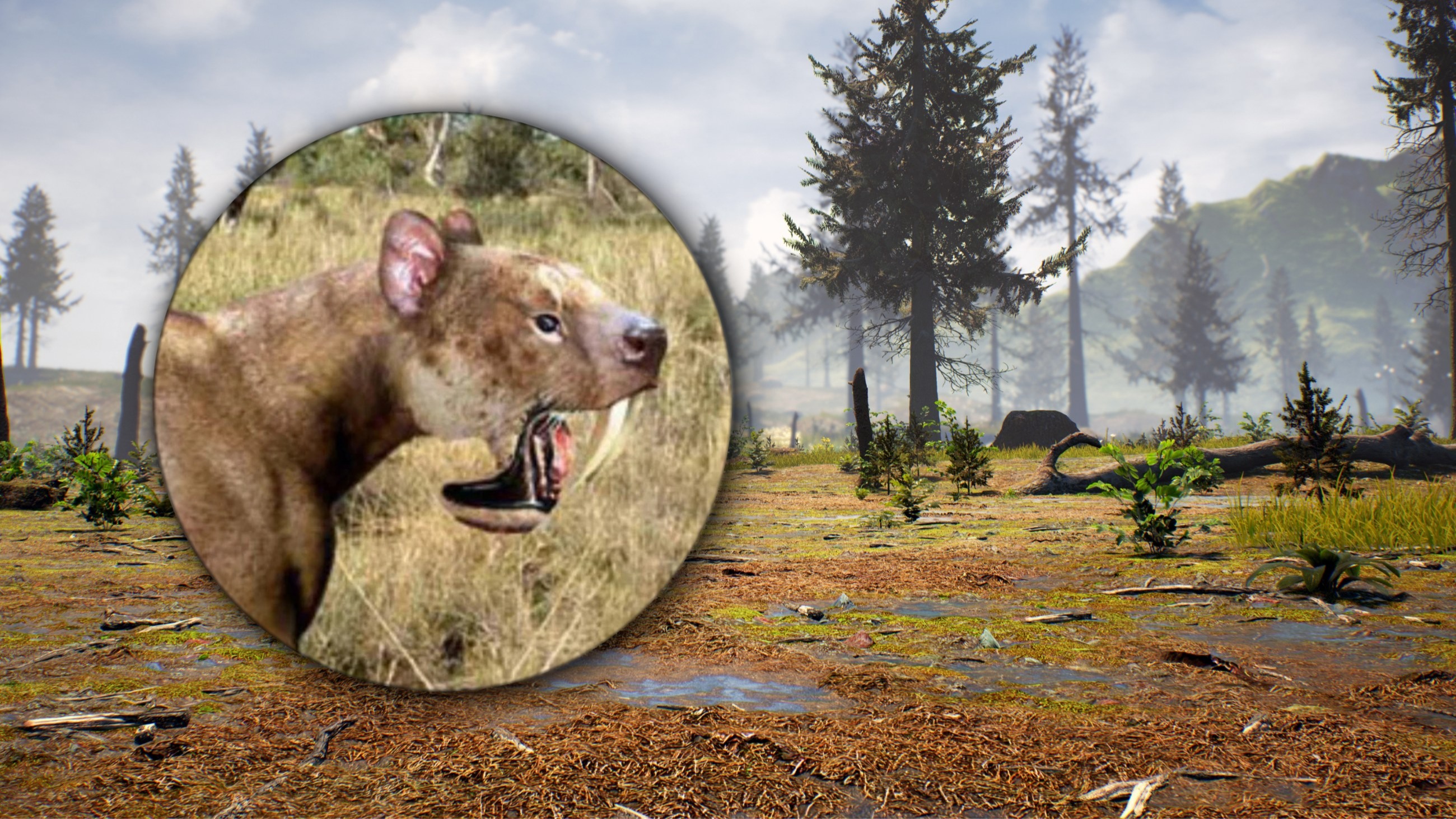 Prehistoryczne bagna kryły prawdziwego zabójcę. Kły chował w „futerale”