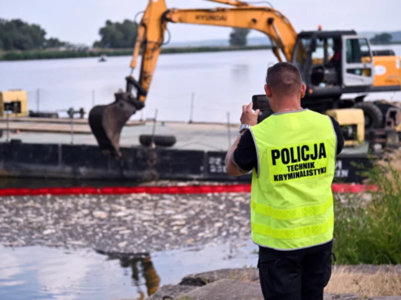 Akcja usuwania martwych ryb z Odry w miejscowości Krajnik Dolny