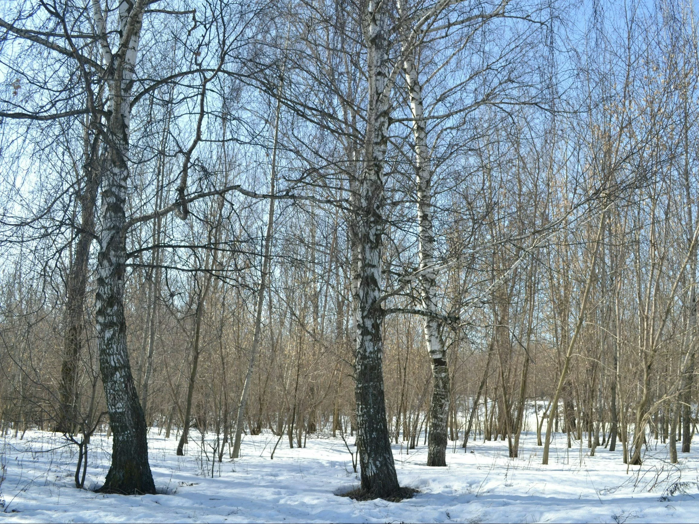 Długoterminowa prognoza dla Polski. Synoptyk odkrywa karty