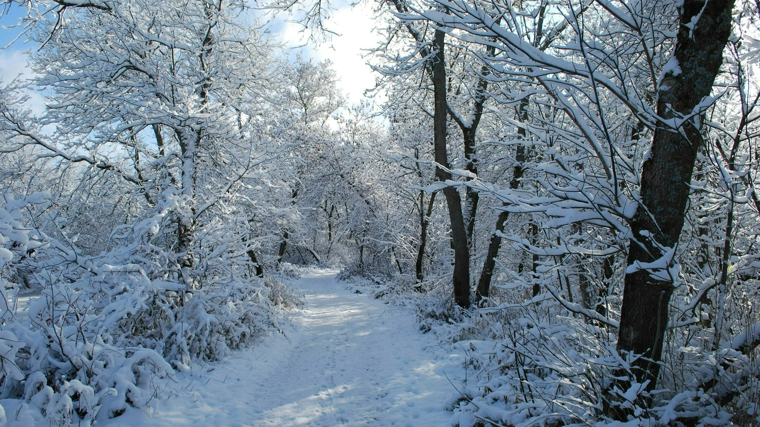 Taki będzie początek października. Nawet 7 cm pokrywy śniegu! Nowa prognoza