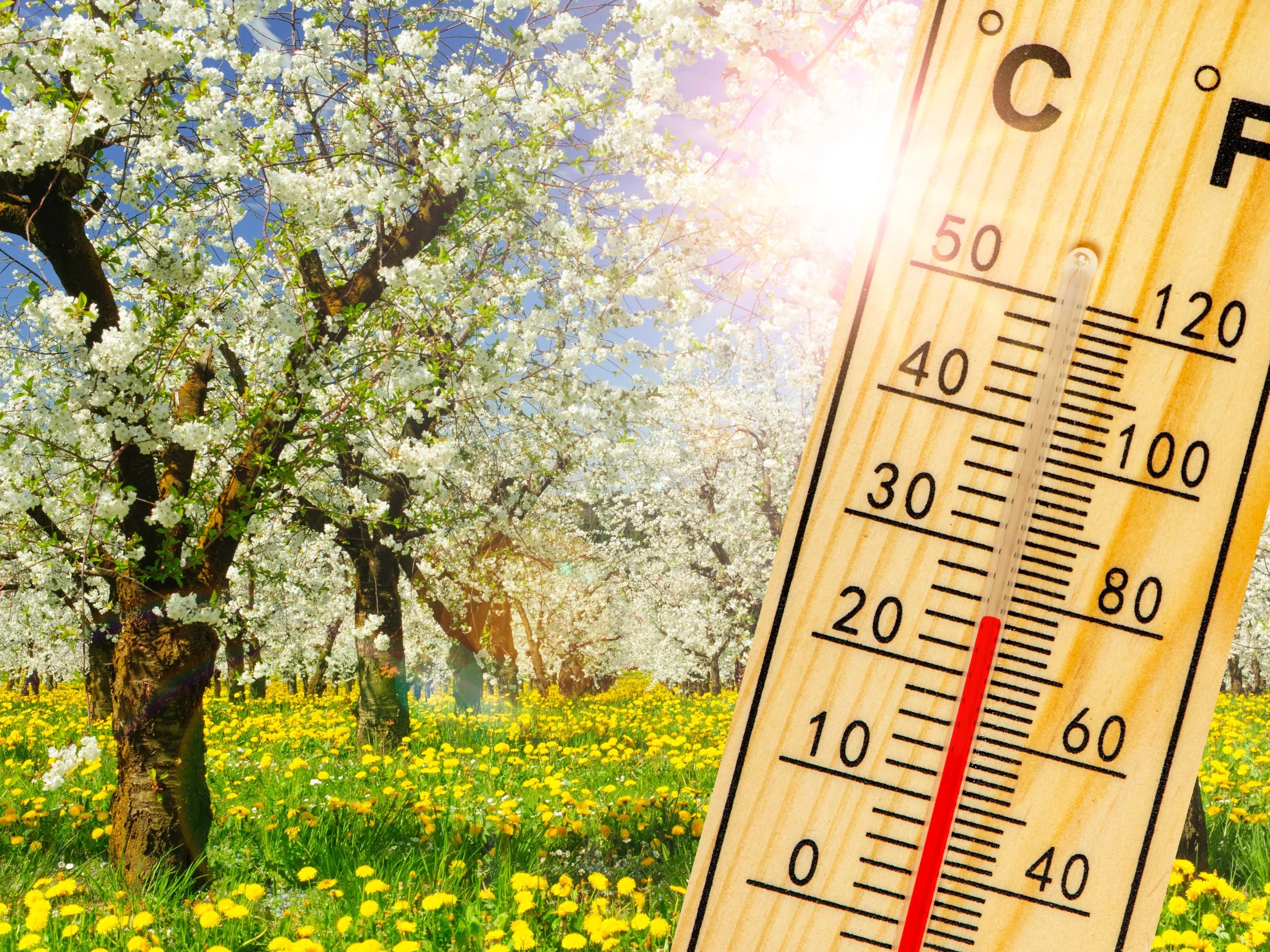Prognoza pogody na Wielkanoc. „Wystrzał” ciepła w modelu IMGW. choćby 20°C!