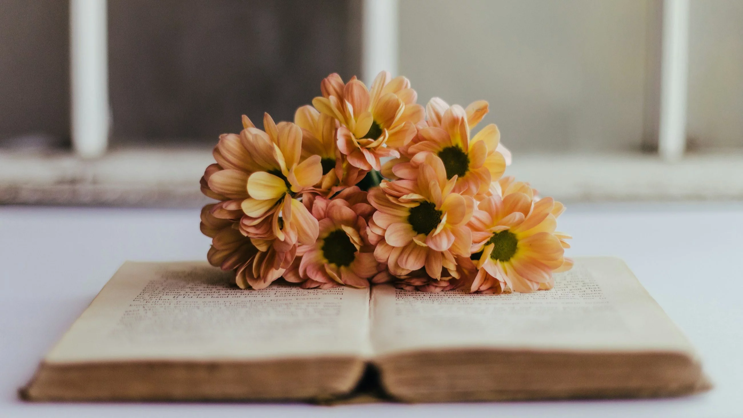 Quiz językowy, zdjęcie ilustracyjne