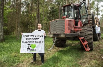 Protest Greenpeace w Puszczy Białowieskiej
