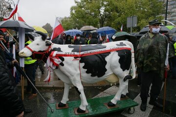 Protest rolników w Warszawie