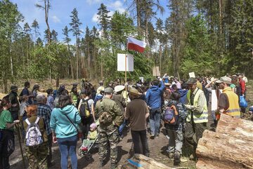 Protest w obronie Puszczy Białowieskiej