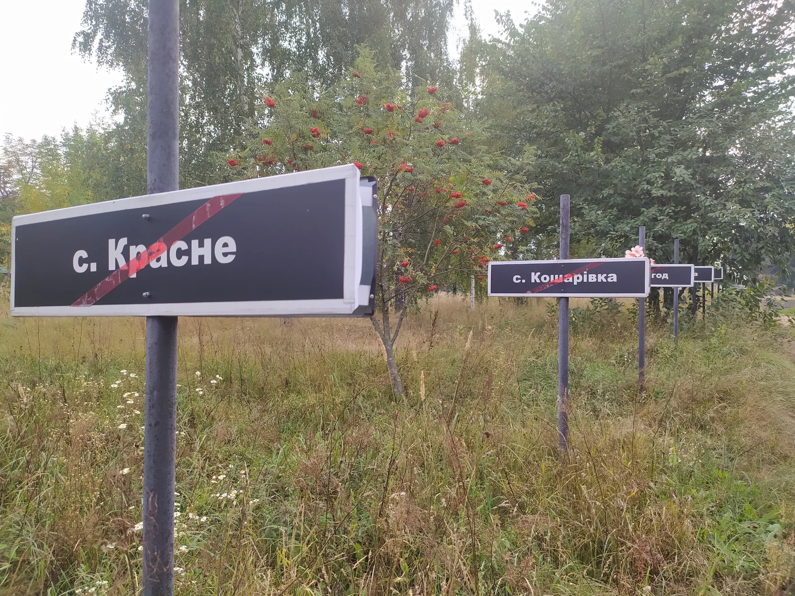 Aleja pamięci Zony