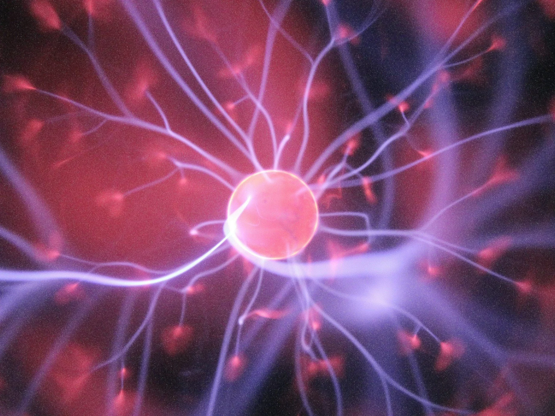 Przełom w badaniu mózgu. Naukowcy stworzyli pierwszą trójwymiarową mapę