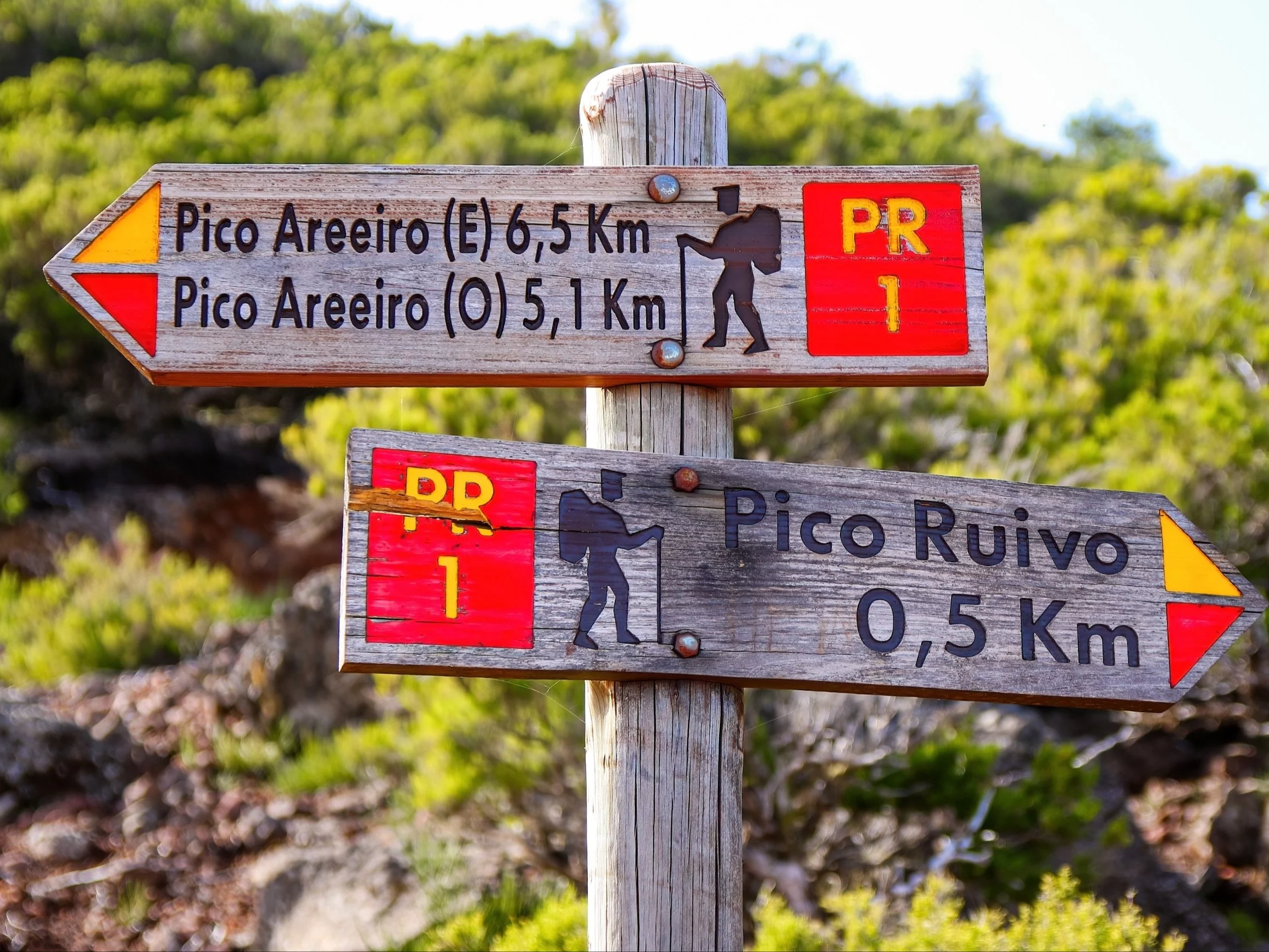 Przestraszony turysta wezwał ratowników. Błąd na Maderze