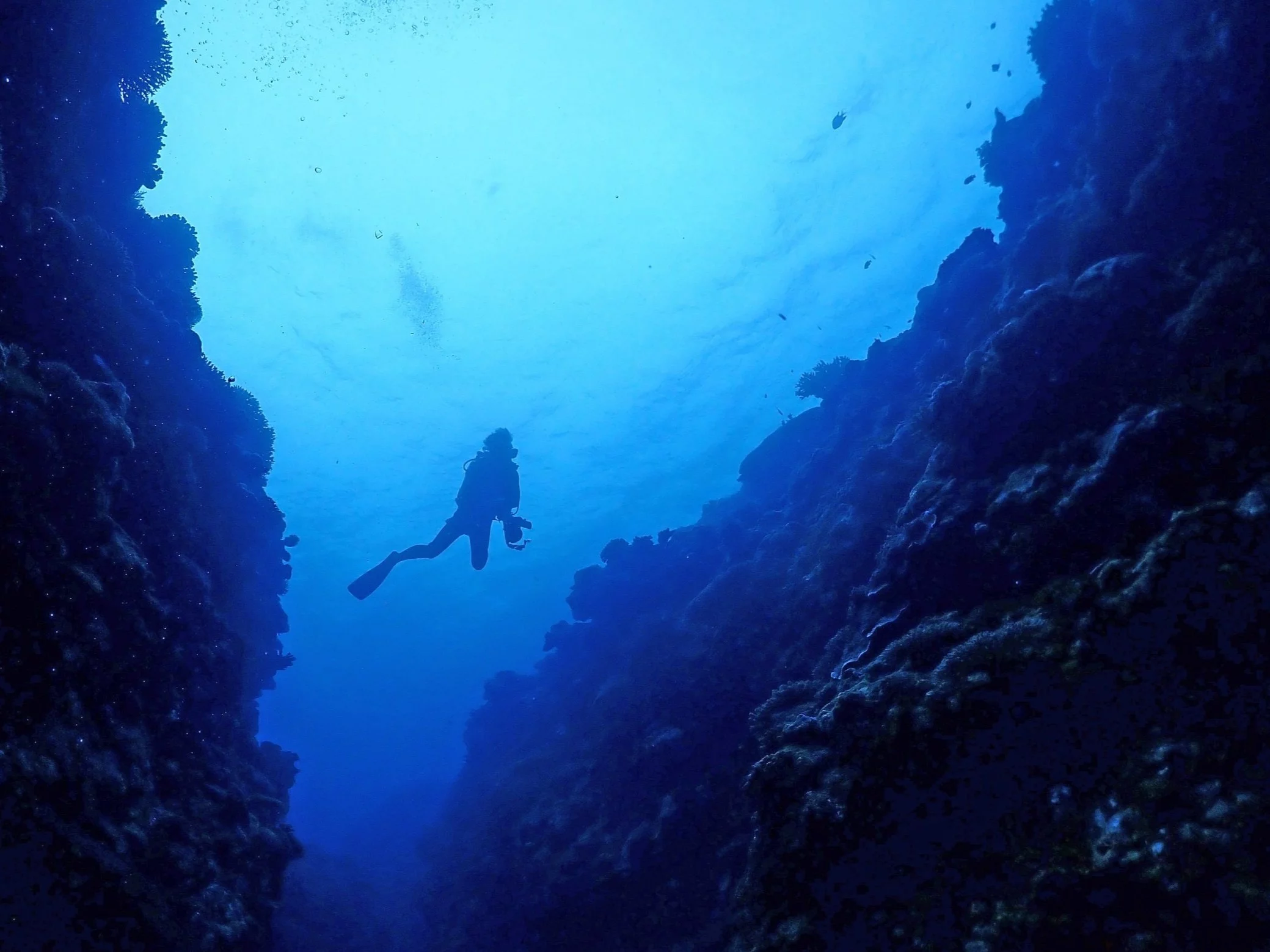 Przypadkowe odkrycie nurków. Trop prowadzi do Rosji