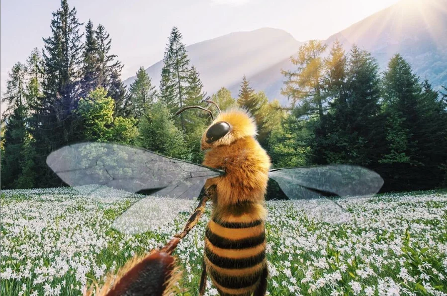 Pszczoła influencerka