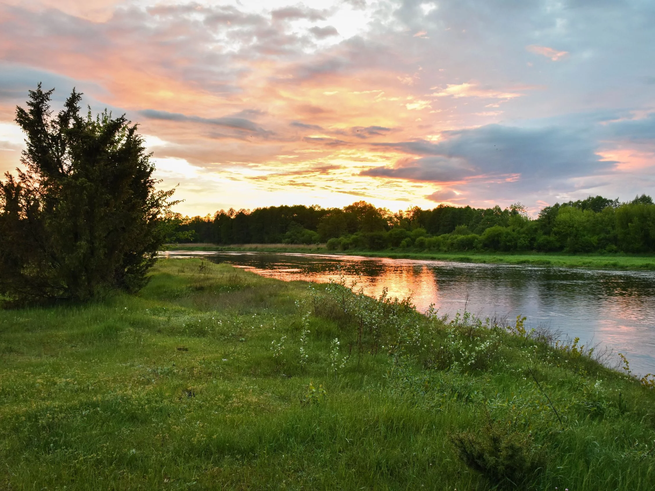 Narew, zdjęcie ilustracyjne