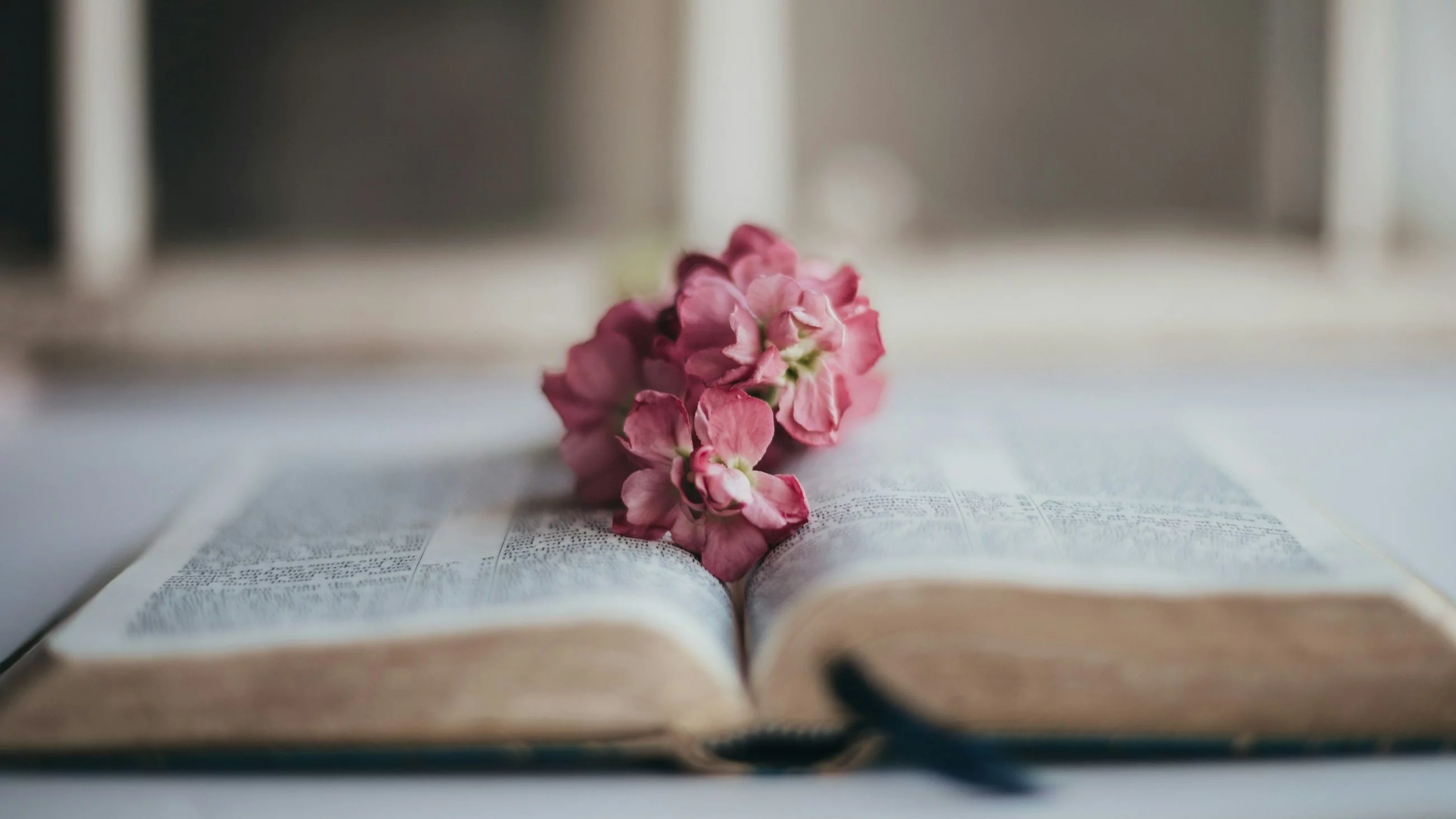 Quiz ortograficzny, zdjęcie ilustracyjne