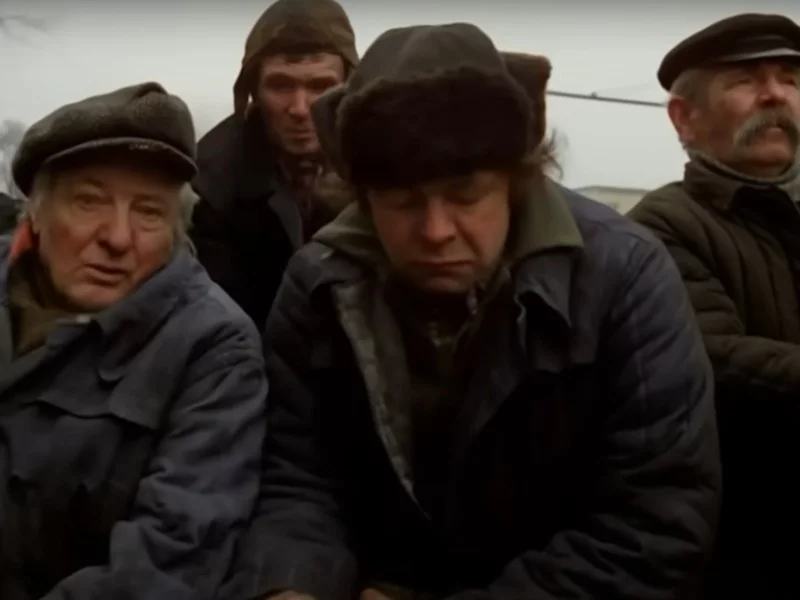 „Miś”, kadr z filmu