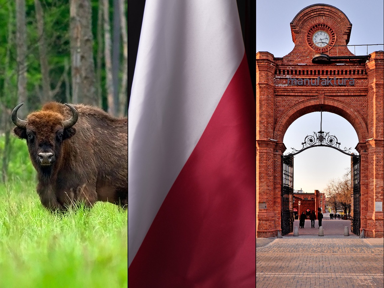 Ten QUIZ zdemaskuje twoją wiedzę o Polsce. Zgarniesz choć 7 punktów?