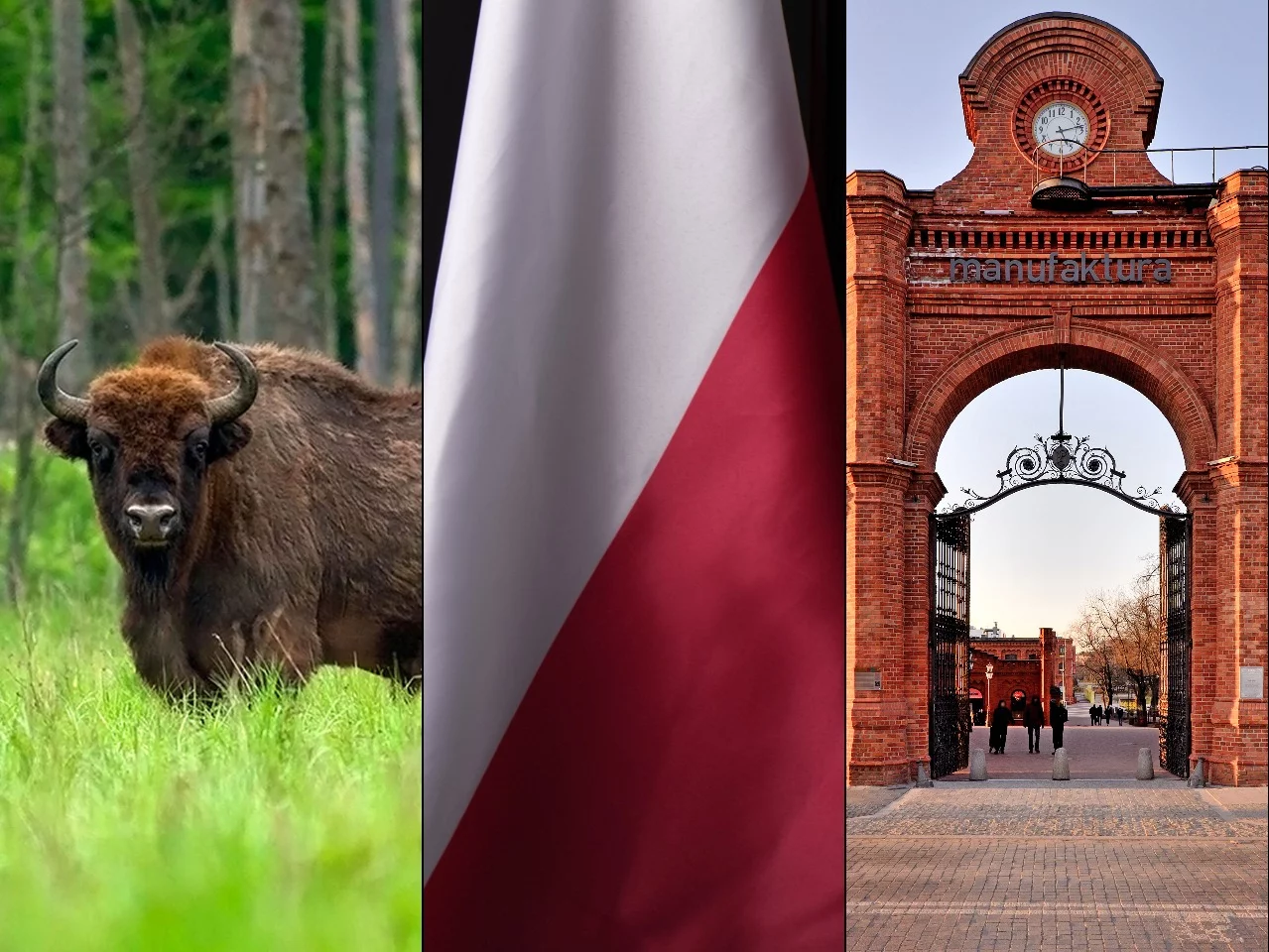 Żubr, flaga Polski, Manufaktura w Łodzi