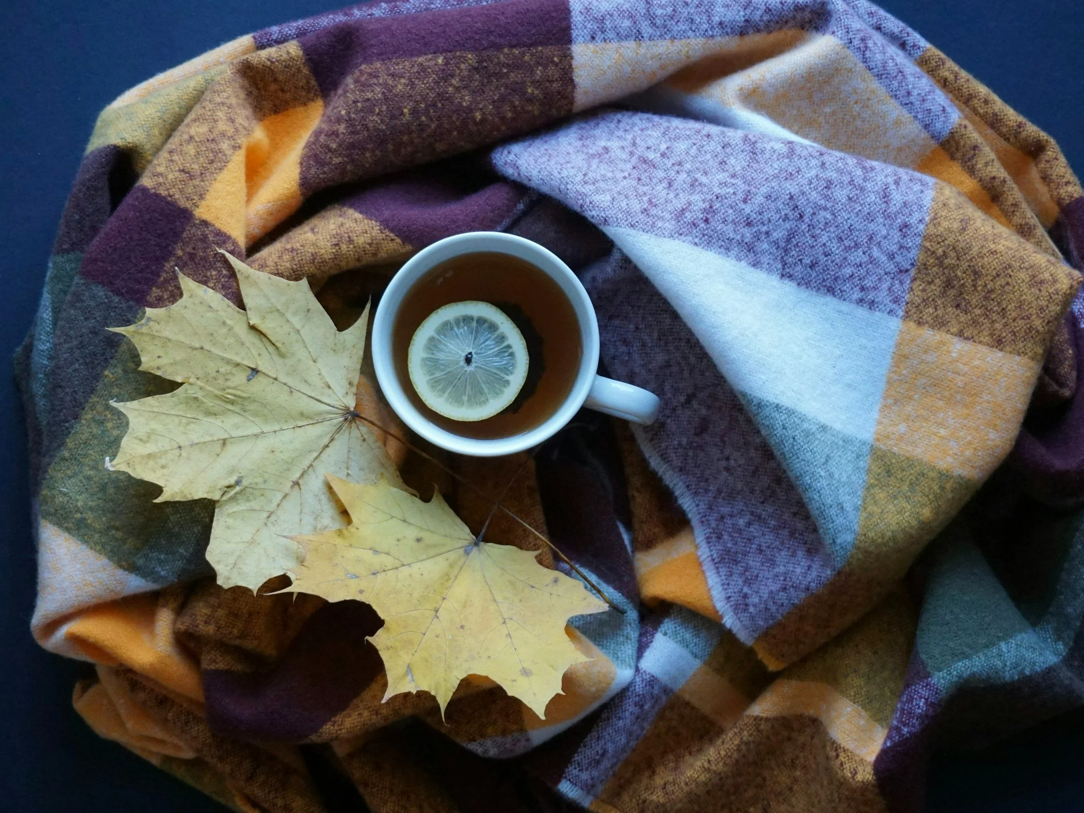 Quiz ortograficzny na jesienną aurę. Nie tylko mistrz zgarnie 10/10!