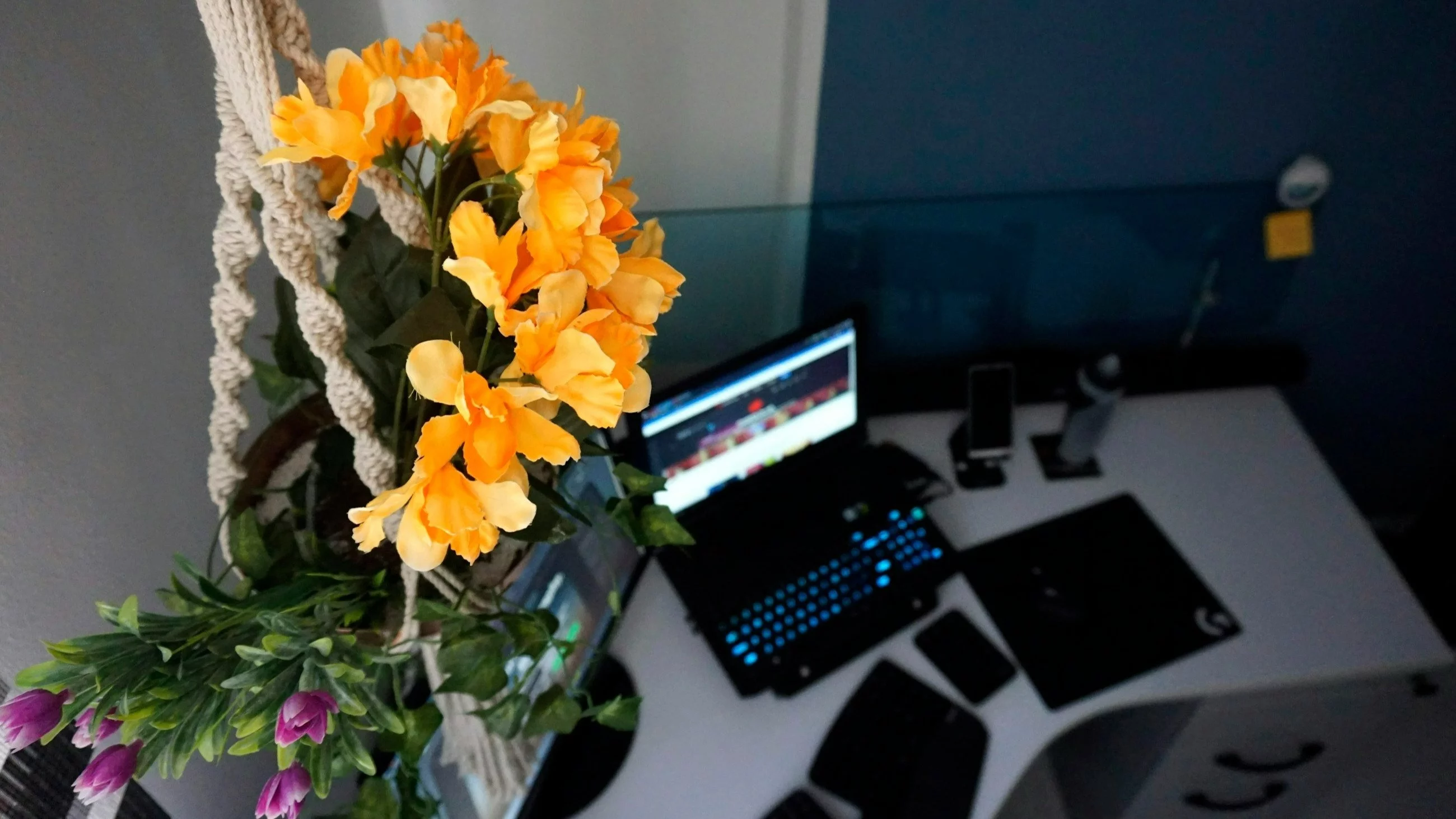 Quiz ortograficzny na upalną niedzielę. Klucz doboru pytań może zaskoczyć!