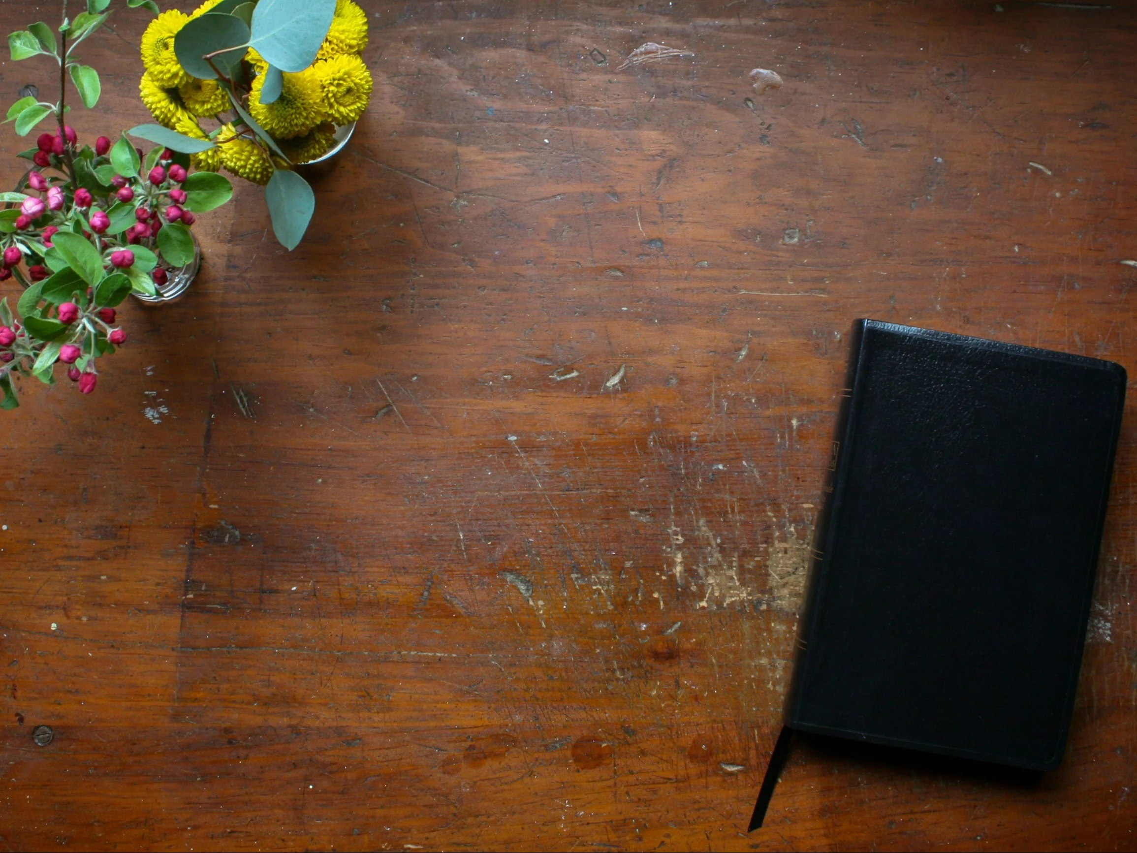 Quiz ortograficzny nie tylko dla uczniów. Zawalcz o komplet punktów!