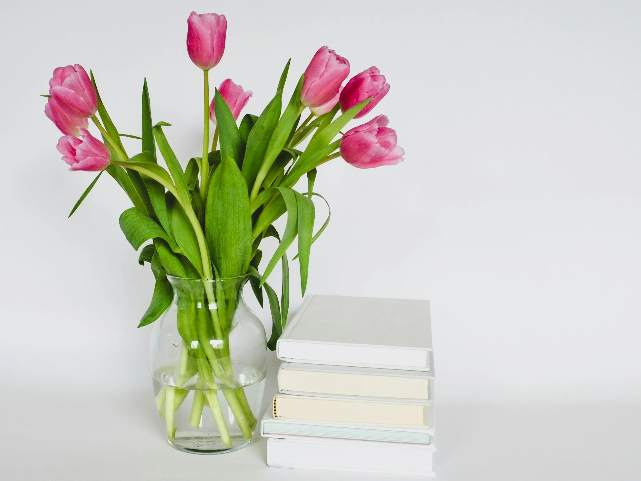 Quiz ortograficzny z natrętnym dylematem. Sprawdź, czy jesteś mistrzem