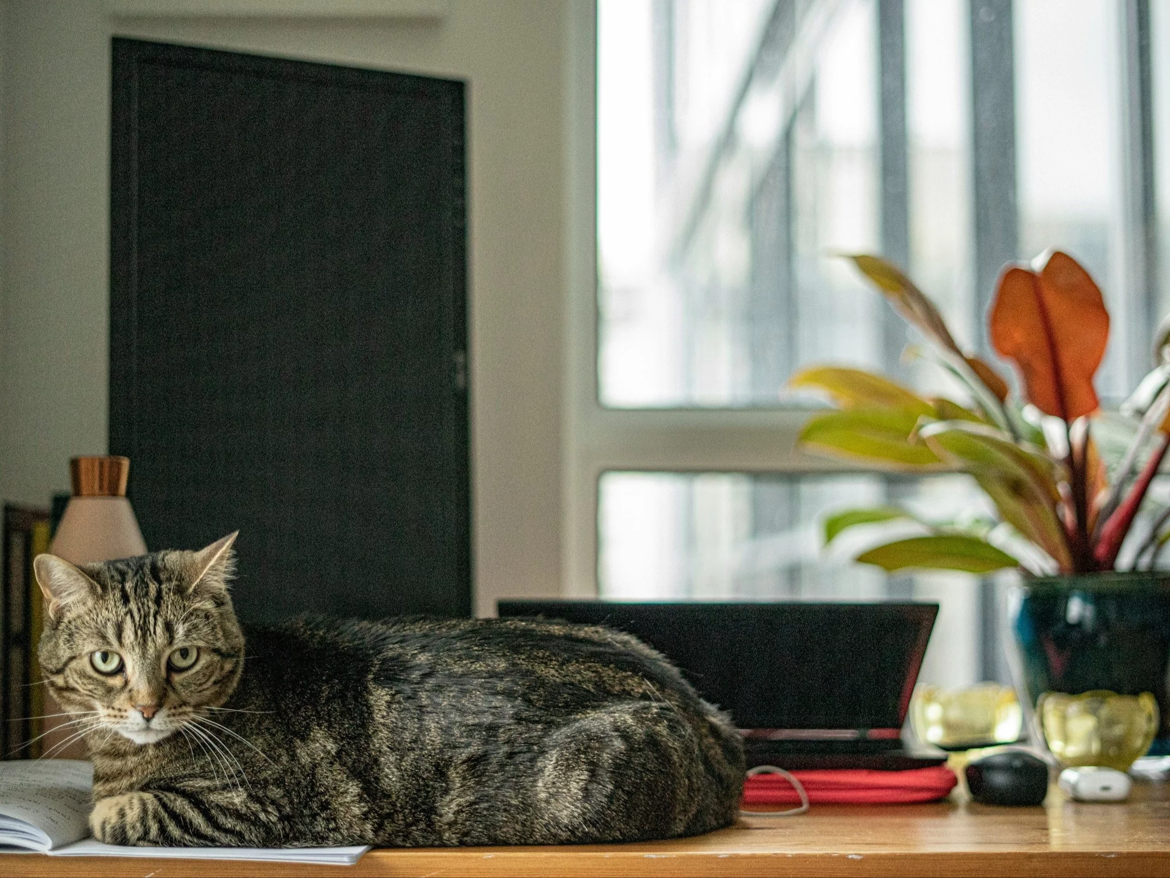 Quiz ortograficzny na rozpoczęcie weekendu. Jeden dylemat uporczywie powraca
