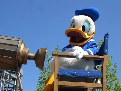 Kaczor Donald