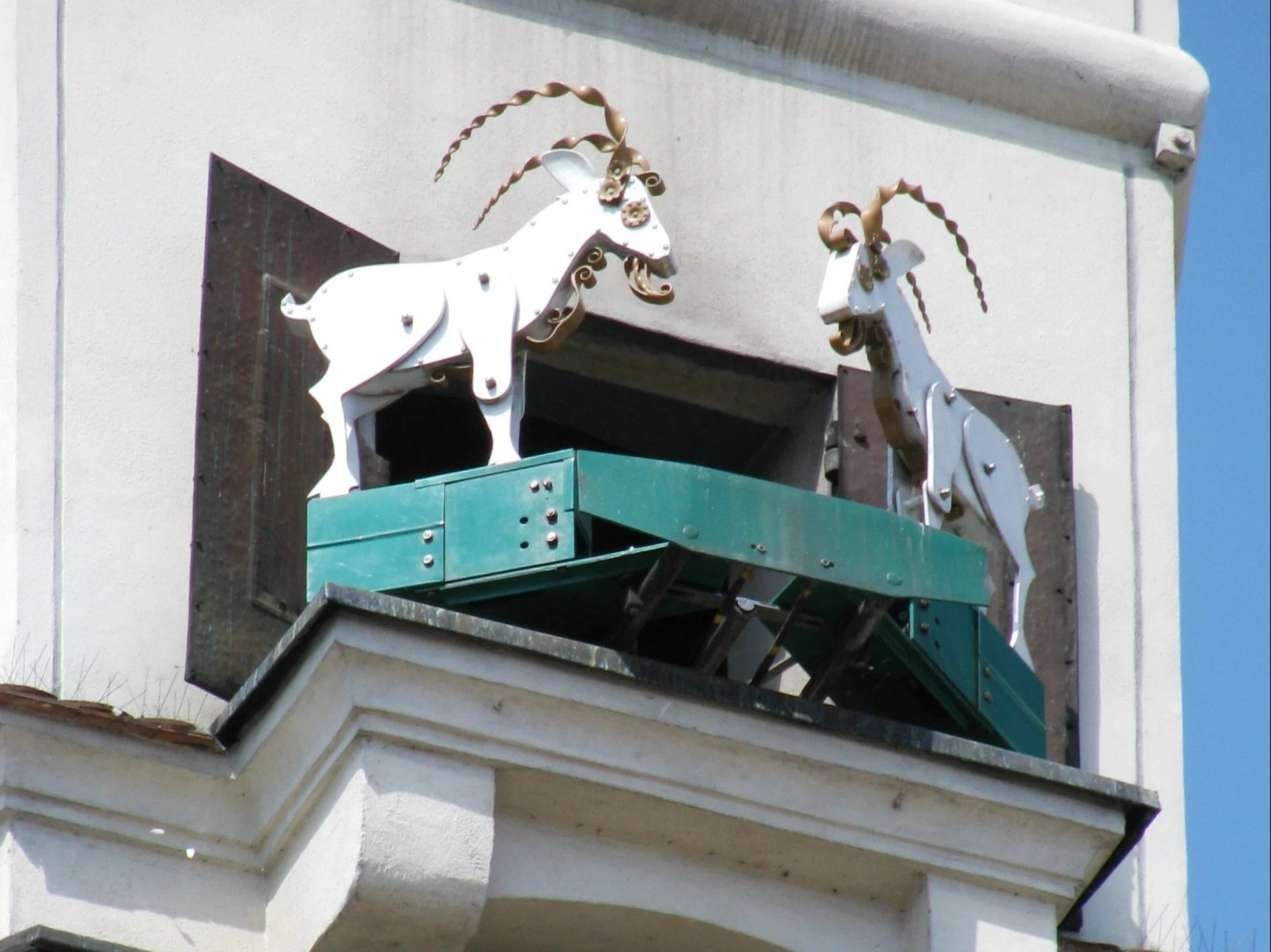 Koziołki poznańskie