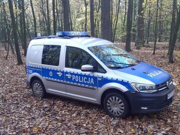 Radiowóz policji w lesie