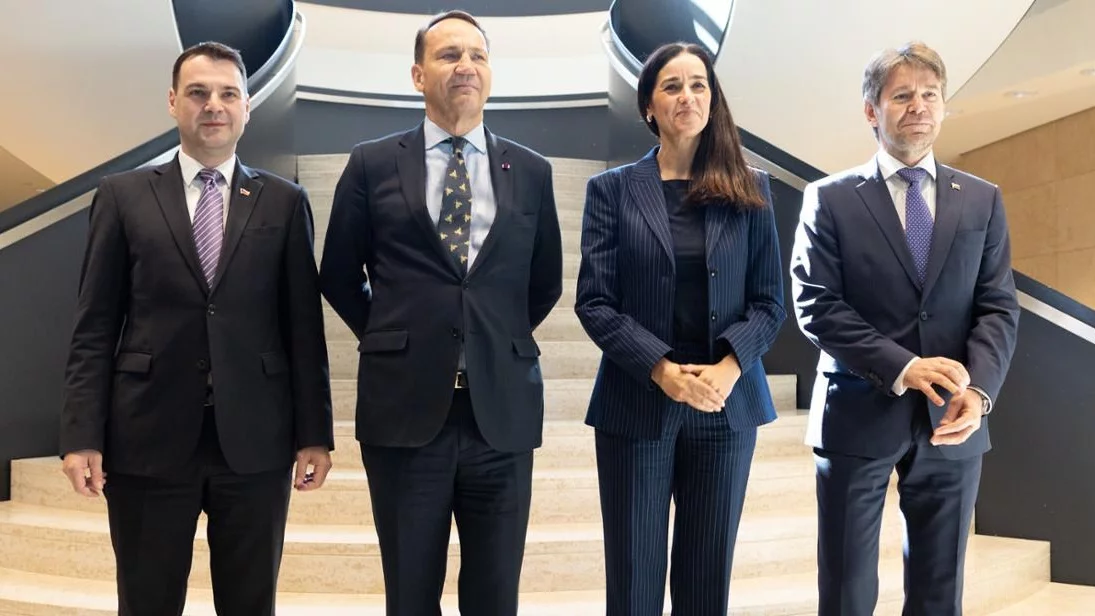 Sikorski na Radzie UE
