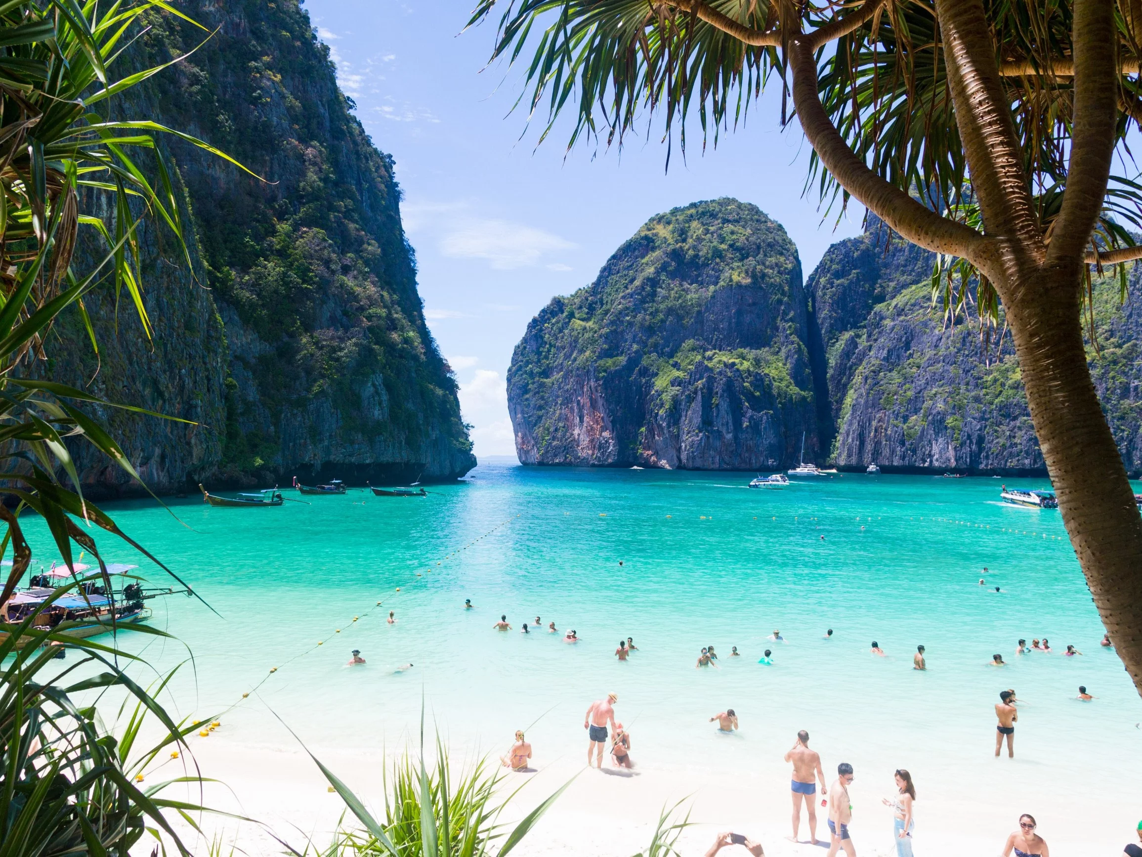 Plaża w zatoce Maya Bay