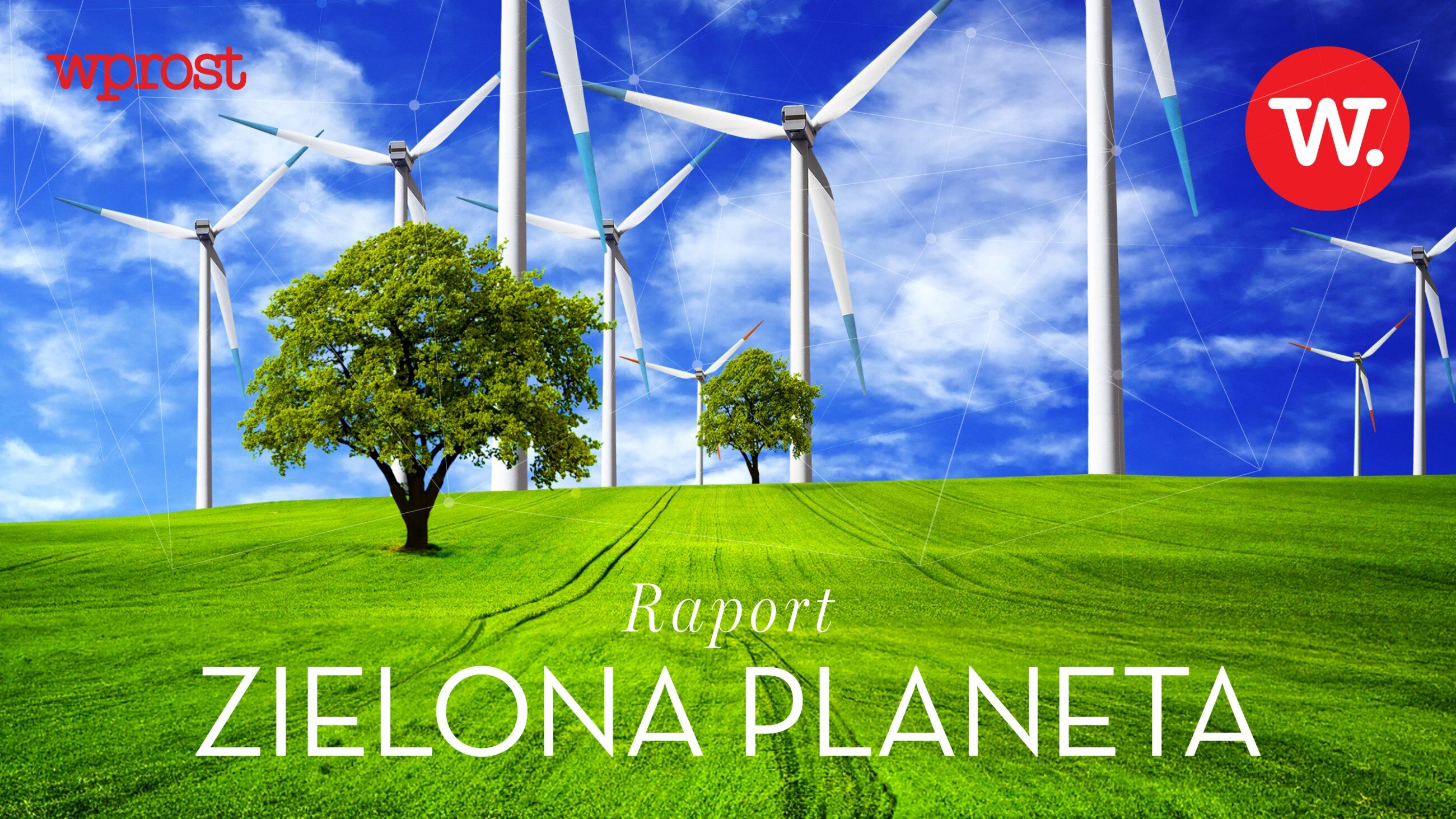 Raport – Zielona Planeta