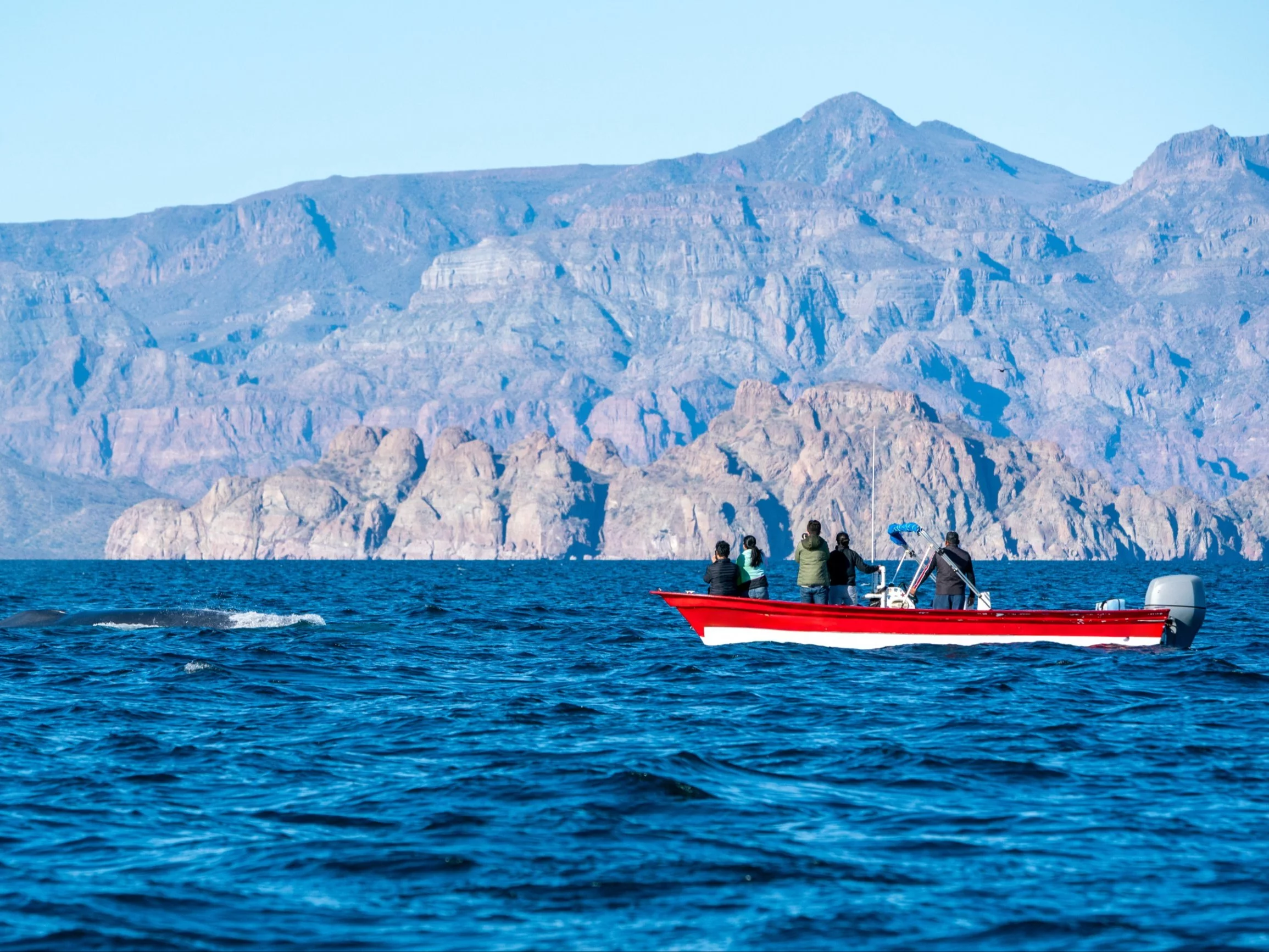 Baja California