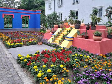Rekonstrukcja patio w domu Fridy Kahlo i Diego Riviery La Casa Azul na wystawie „Kolor życia” w Łazienkach Królewskich