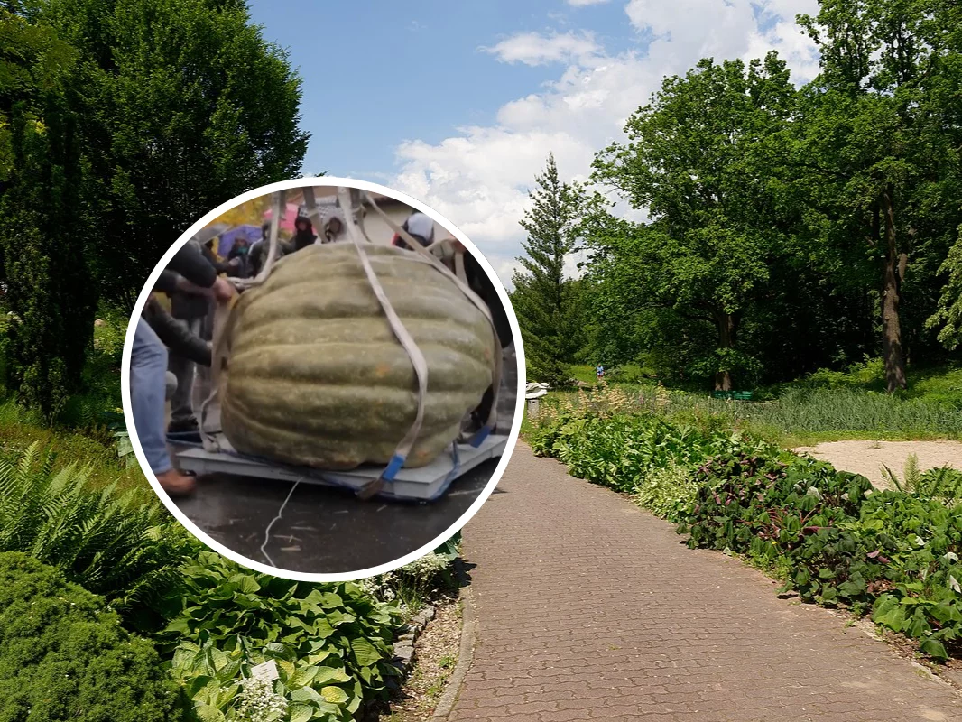PAN Ogród Botaniczny w Powsinie