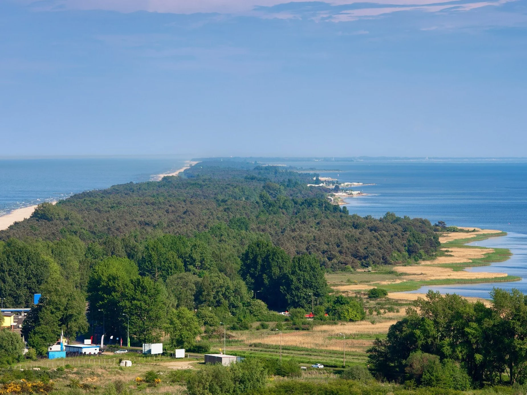 Rewilding Bałtyku. Rusza projekt w Zatoce Puckiej
