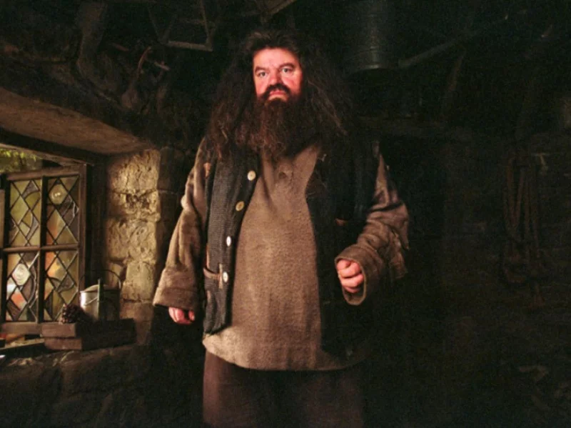 Robbie Coltrane w filmie „Harry Potter”