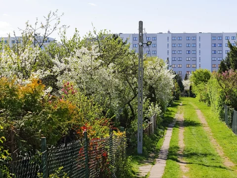 Rodzinne Ogródki Działkowe ROD