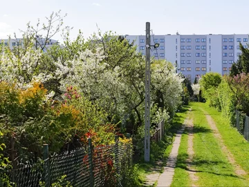 Rodzinne Ogródki Działkowe ROD