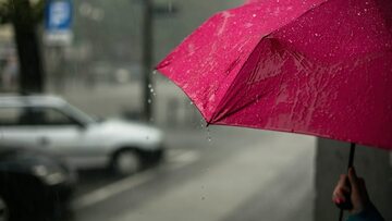 Różowy parasol na deszczu