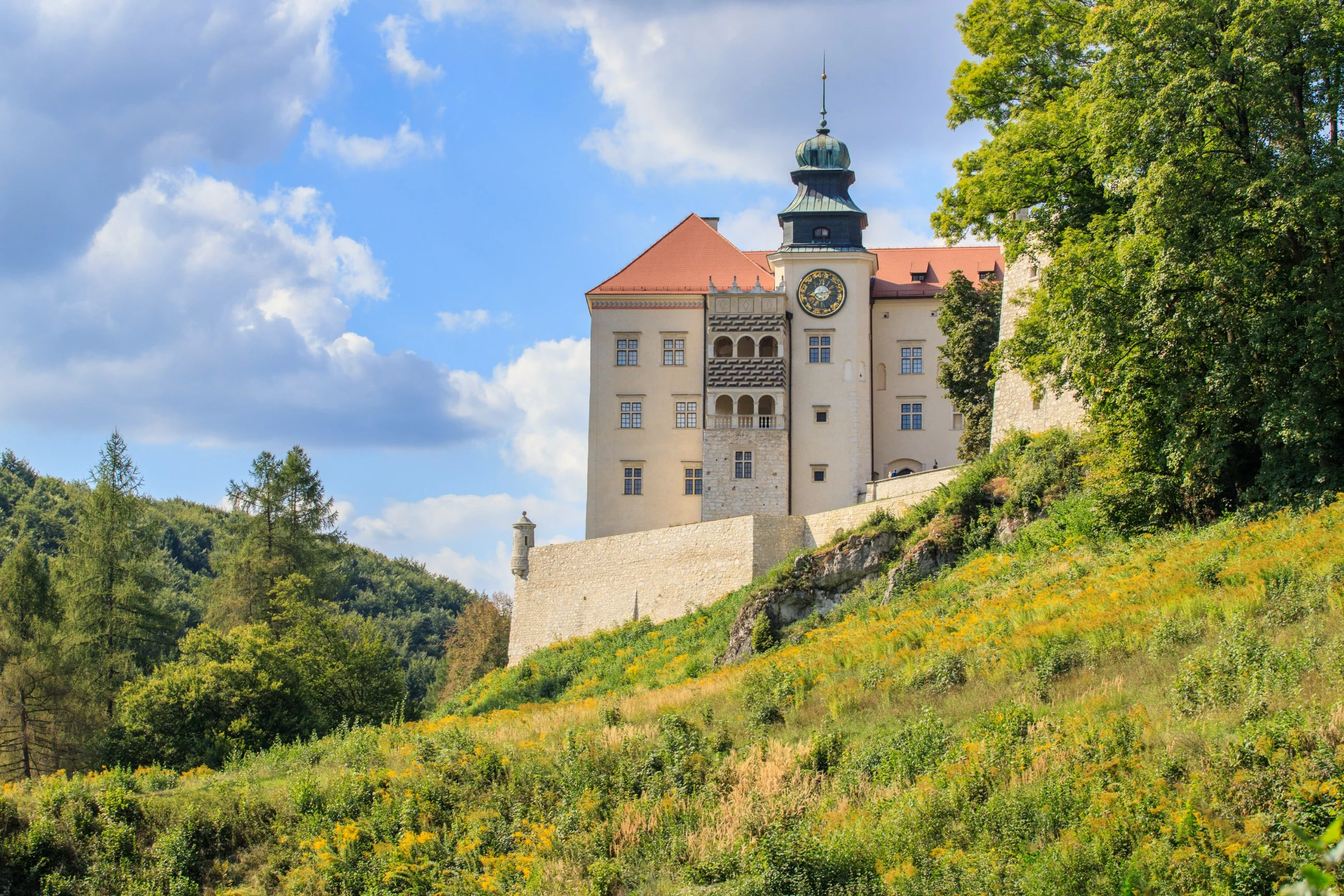 Pieskowa Skała, Dolina Prądnika