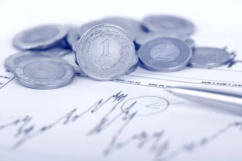 Rada, która wraz z Narodowym Bankiem Polskim odpowiedzialna jest głównie za utrzymywanie w ryzach inflacji oraz stabilność polskiej waluty, raz do roku zobowiązana jest przedstawić Sejmowi sprawozdanie ze swych prac 123RF