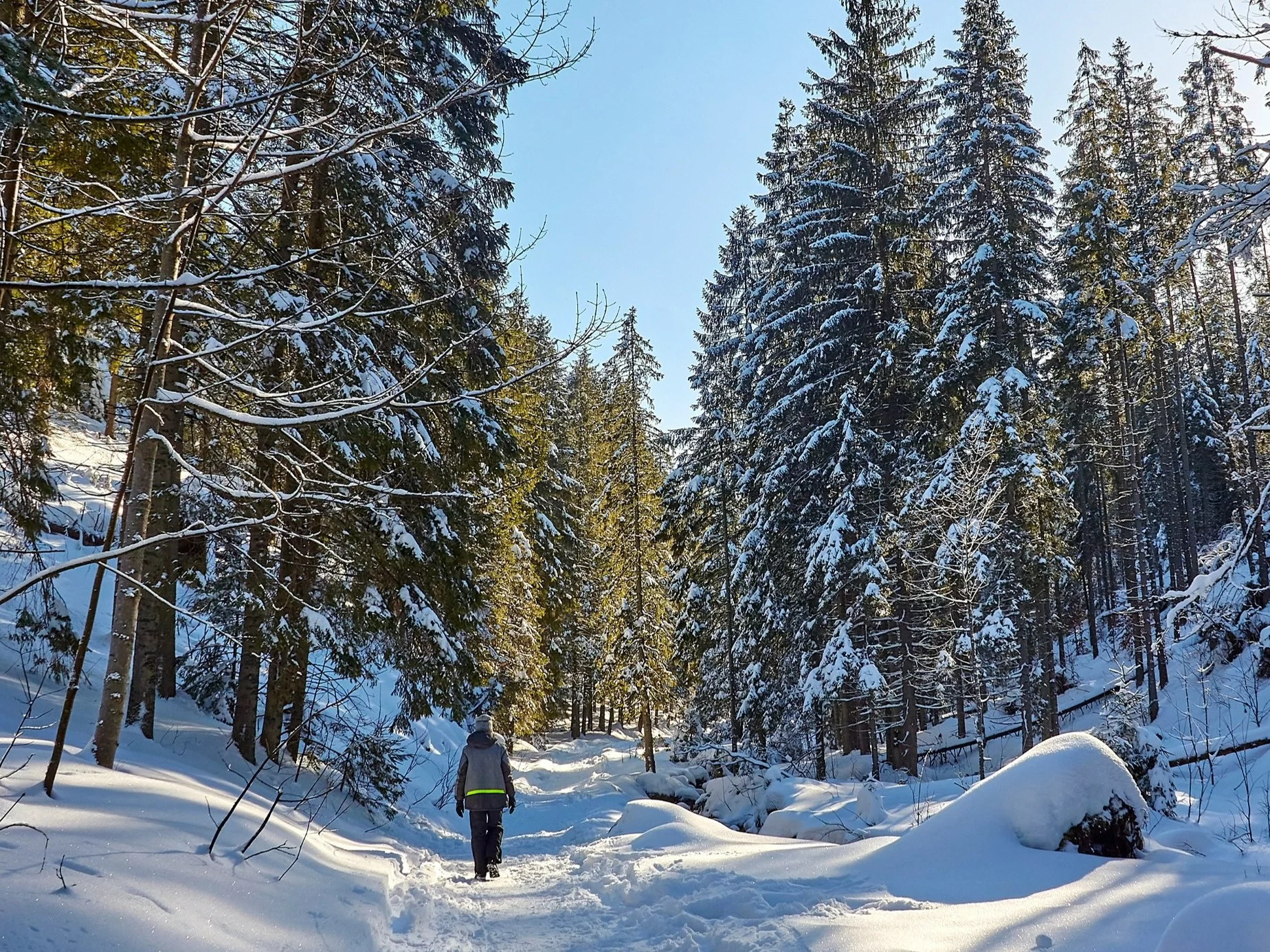 Tatry